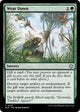 [Foil] Wear Down (203) (Bloomburrow)