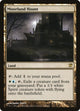 [Foil] Moorland Haunt (244) (Innistrad)