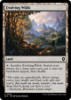 Evolving Wilds (302) (Bloomburrow)