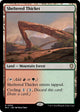 Sheltered Thicket (330) (Bloomburrow)