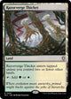 Razorverge Thicket (325) (Bloomburrow)