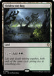 Viridescent Bog (352) (Bloomburrow)