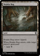 Bojuka Bog (294) (Bloomburrow)