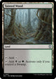 Tainted Wood (337) (Bloomburrow)