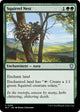 Squirrel Nest (239) (Bloomburrow)