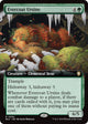Evercoat Ursine (Extended Art) (64) (Bloomburrow)