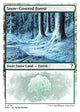 Snow-Covered Forest (White Border) (120) (Mystery Booster 2)