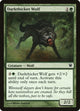 [Foil] Darkthicket Wolf (175) (Innistrad)