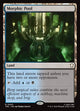 Morphic Pool (TRC #540)