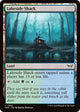 [Foil] Lakeside Shack (262) (Duskmourn: House of Horror)