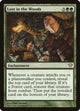 [Foil] Lost in the Woods (123) (Dark Ascension)
