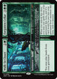 Walk-In Closet // Forgotten Cellar (205) (Duskmourn: House of Horror)