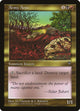 Army Ants (Visions)