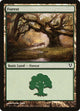 [Foil] Forest (244) (244) (Avacyn Restored)