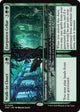Walk-In Closet // Forgotten Cellar (205) (Duskmourn: House of Horror)