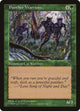 Panther Warriors (Visions)