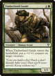 [Foil] Timberland Guide (197) (Avacyn Restored)