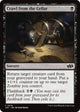 Crawl from the Cellar (414) (Foundations Jumpstart)