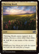 Thriving Heath (777) (Foundations Jumpstart)