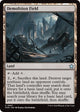 Demolition Field (687) (Foundations)