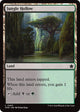 Jungle Hollow (263) (Foundations)