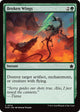 Broken Wings (214) (Foundations)