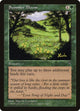 Summer Bloom (Visions)