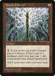 Wand of Denial (Visions)