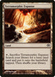 Terramorphic Expanse (129) (Planechase 2012)