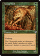[Foil] Young Wolf (Retro Frame) (425) (Innistrad Remastered)