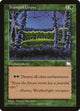 Tranquil Grove (Weatherlight)