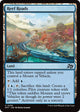 [Foil] Reef Roads (259) (Aetherdrift)