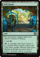 [Foil] Wild Roads (269) (Aetherdrift)
