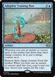 Adaptive Training Post (18) (Tarkir: Dragonstorm)