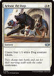 Release the Dogs (127) (Tarkir: Dragonstorm)