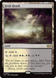 Fetid Heath (362) (Tarkir: Dragonstorm)