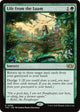 Life from the Loam (96) (Tarkir: Dragonstorm)