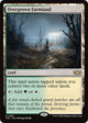 Overgrown Farmland (381) (Tarkir: Dragonstorm)