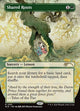 Shared Roots - Secret Lair Drop