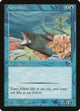 Coral Eel (Portal)