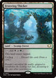 Festering Thicket (21) (Edge of Eternities)