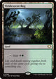 Viridescent Bog (190) (Edge of Eternities)