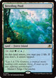 [Foil] Breeding Pool (251) (Prerelease Cards)