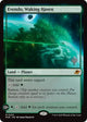 [Foil] Evendo, Waking Haven (253) (Edge of Eternities)