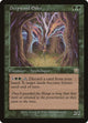 [Foil] Deepwood Elder (240) (Mercadian Masques)