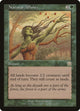 Natural Affinity (260) (Mercadian Masques)