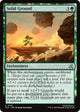 [Foil] Solid Ground (142) (Avatar: The Last Airbender: Eternal-Legal)