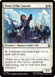 [Foil] Water Tribe Captain (41) (Avatar: The Last Airbender)