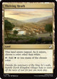 [Foil] Thriving Heath (262) (Avatar: The Last Airbender: Eternal-Legal)