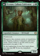 Trystan, Callous Cultivator (Lorwyn Eclipsed)